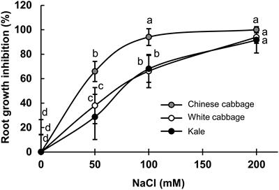Early Brassica Crops Responses to Salinity Stress: A Comparative Analysis Between Chinese Cabbage, White Cabbage, and Kale